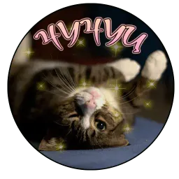 Коты и Совы sticker 6