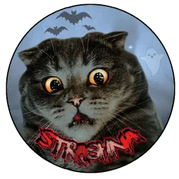 Коты и Совы sticker 7