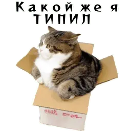 Колкие фразы Telegram sticker pack
