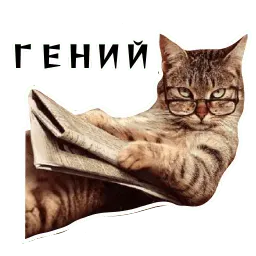 Колкие фразы sticker 4