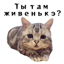 Колкие фразы sticker 5