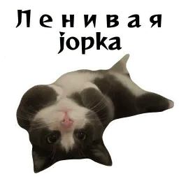 Колкие фразы sticker 8