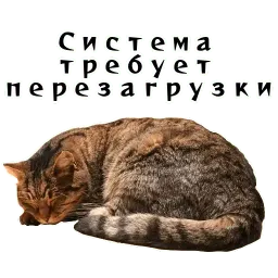 Колкие фразы sticker 9