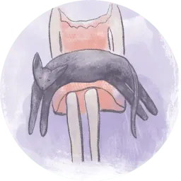 Коты в круге sticker 4