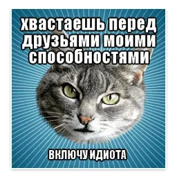 🐱 Мемы с Котом @TuristasTV sticker 5