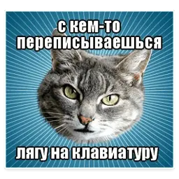 🐱 Мемы с Котом @TuristasTV sticker 8