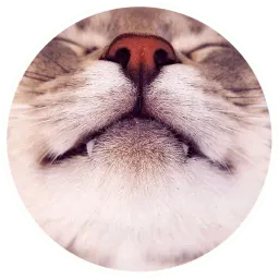 Кошачьи нежности Telegram sticker pack