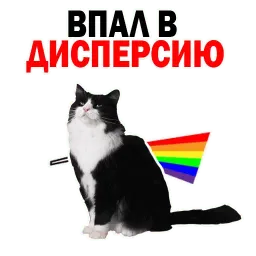 🐱 Кошачий Слэнг @TuristasTV sticker 4