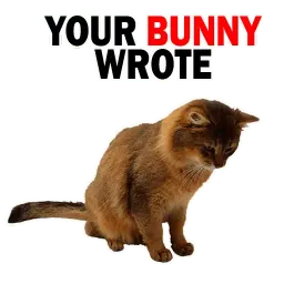 🐱 Кошачий Слэнг @TuristasTV sticker 9