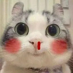 Котята Telegram sticker pack