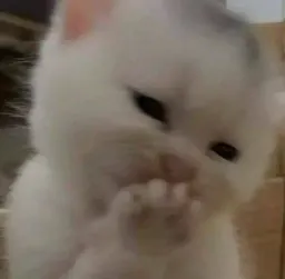 Котята sticker 2