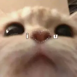 Котята sticker 11