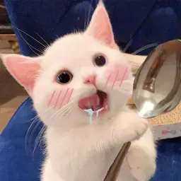 Котята sticker 3
