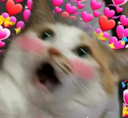 Котята sticker 5