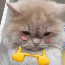 Котята sticker 10