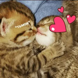 Эщкере Telegram sticker pack