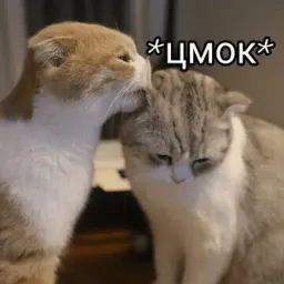Эщкере sticker 2