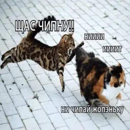 Эщкере sticker 12