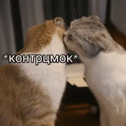 Эщкере sticker 3