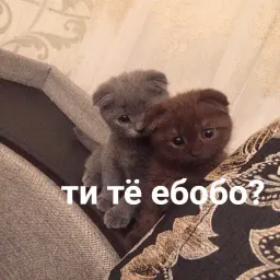 Эщкере sticker 4