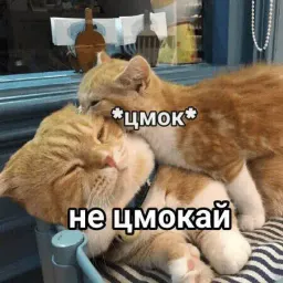 Эщкере sticker 5