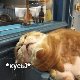 Эщкере sticker 6