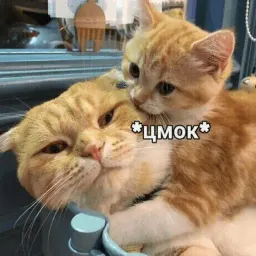Эщкере sticker 7