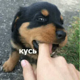 Эщкере sticker 8