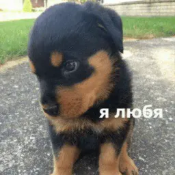 Эщкере sticker 10