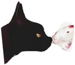 Чёрно-белое настроение sticker 7