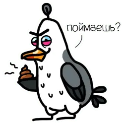 Чайка Чая Telegram sticker pack