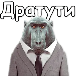 Дерзкое животное Telegram sticker pack