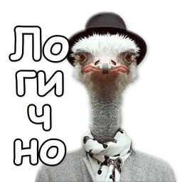 Дерзкое животное sticker 2