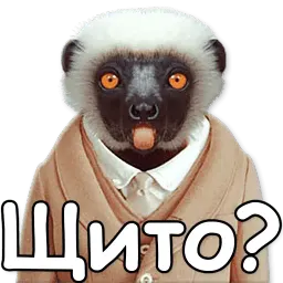 Дерзкое животное sticker 11