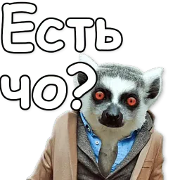 Дерзкое животное sticker 6
