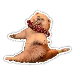 Спецкурс ШСТ Telegram sticker pack