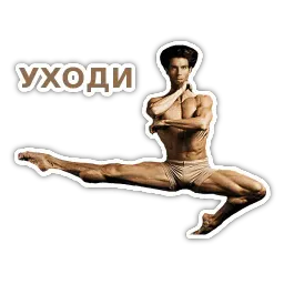 Спецкурс ШСТ sticker 2