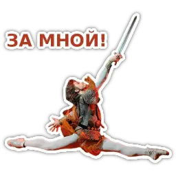 Спецкурс ШСТ sticker 3