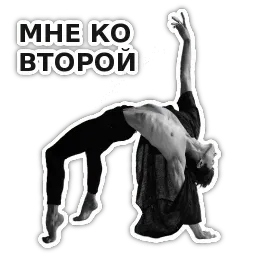 Спецкурс ШСТ sticker 6