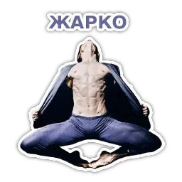 Спецкурс ШСТ sticker 8