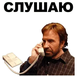 Чак Норрис sticker 2