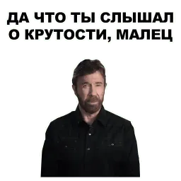 Чак Норрис sticker 11