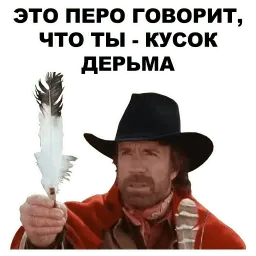 Чак Норрис sticker 12