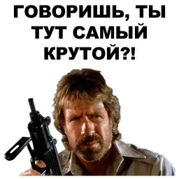 Чак Норрис sticker 4