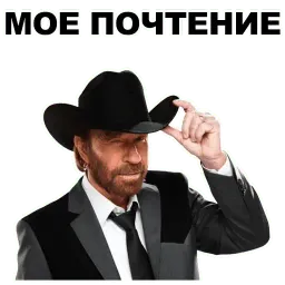 Чак Норрис sticker 6