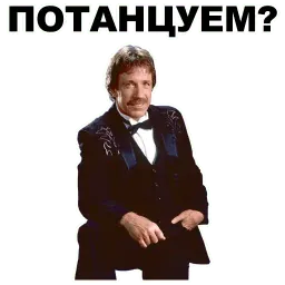 Чак Норрис sticker 8