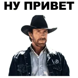 Чак Норрис sticker 9