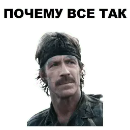Чак Норрис sticker 10