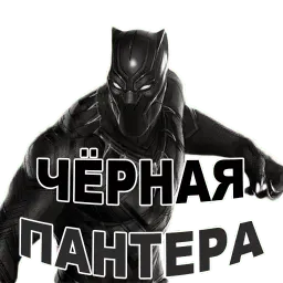 Чёрная ПАНТЕРА @TuristasTV Telegram sticker pack