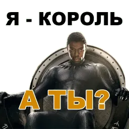 Чёрная ПАНТЕРА @TuristasTV sticker 9